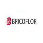 Bricoflor Fr